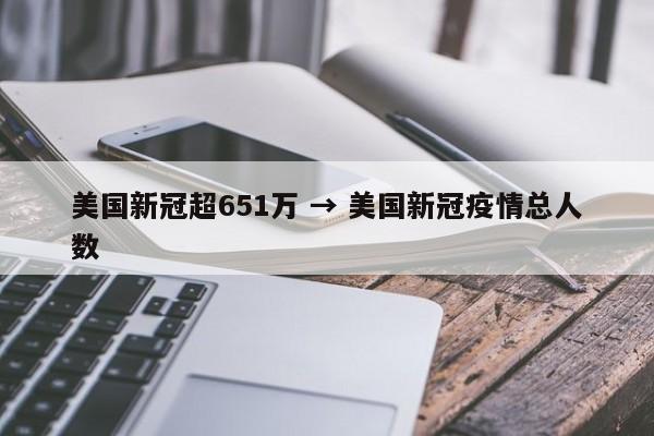 美国新冠超651万 → 美国新冠疫情总人数