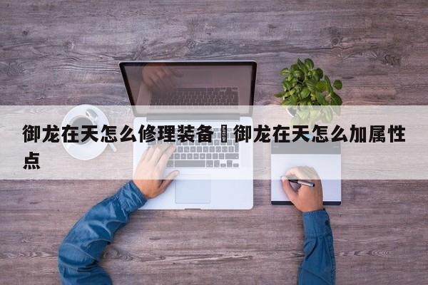 御龙在天怎么修理装备›御龙在天怎么加属性点
