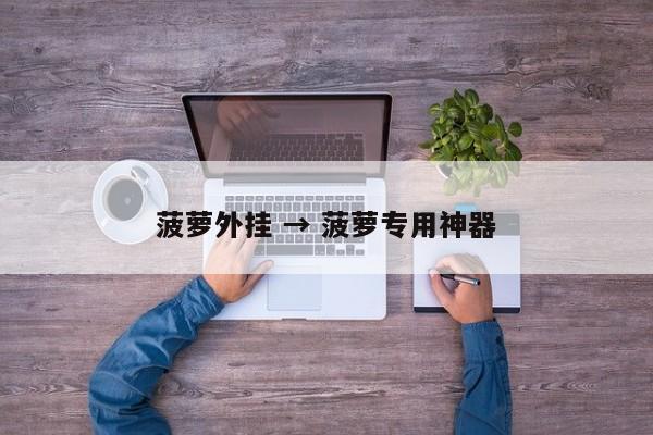 菠萝外挂 → 菠萝专用神器