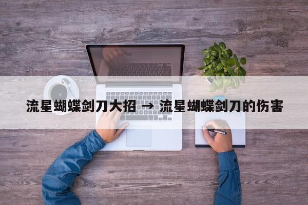 流星蝴蝶剑刀大招 → 流星蝴蝶剑刀的伤害