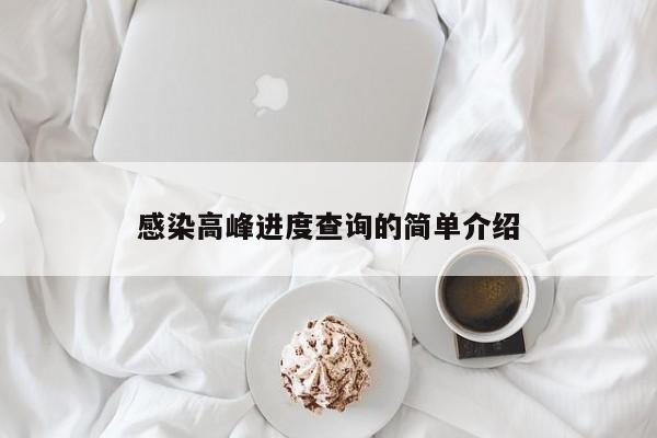 感染高峰进度查询的简单介绍