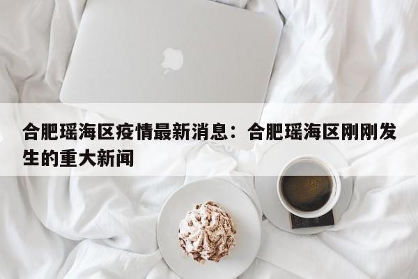 合肥瑶海区疫情最新消息：合肥瑶海区刚刚发生的重大新闻