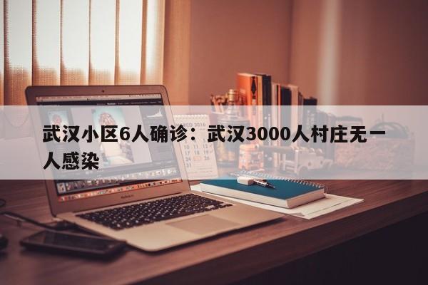 武汉小区6人确诊：武汉3000人村庄无一人感染