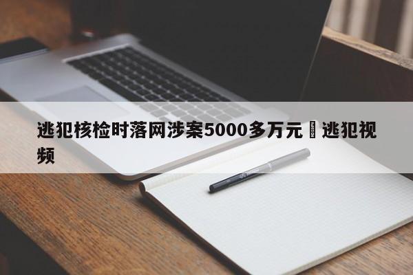 逃犯核检时落网涉案5000多万元›逃犯视频